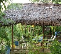 Bush Dining